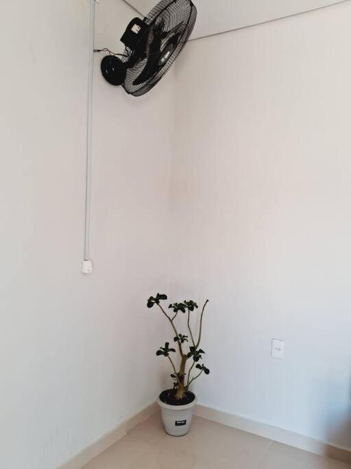 Apartament Flat Compacto E Mobiliado Proximo A Rodoviaria Aeroporto Palmas  Zewnętrze zdjęcie